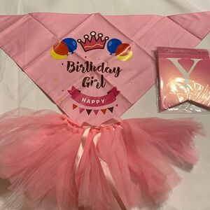 Pink girl doggy birthday suit